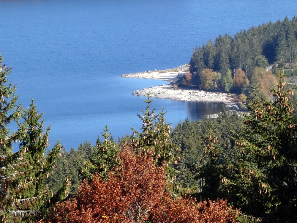 Blick auf den Schluchsee