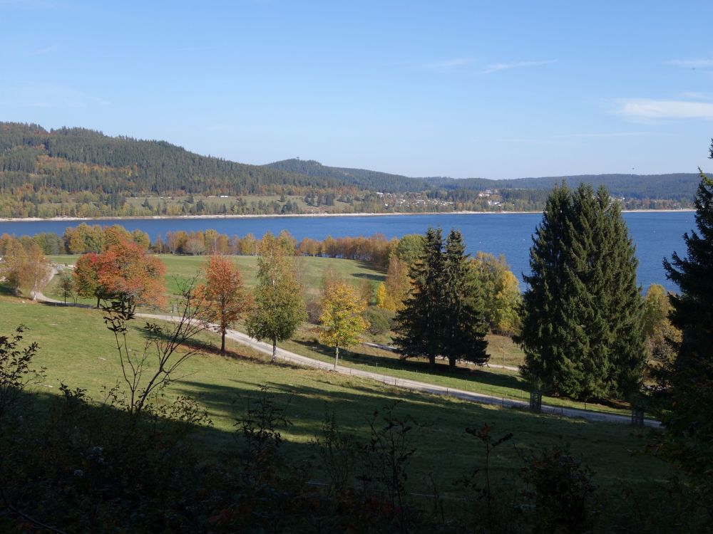 Blick auf den Schluchsee