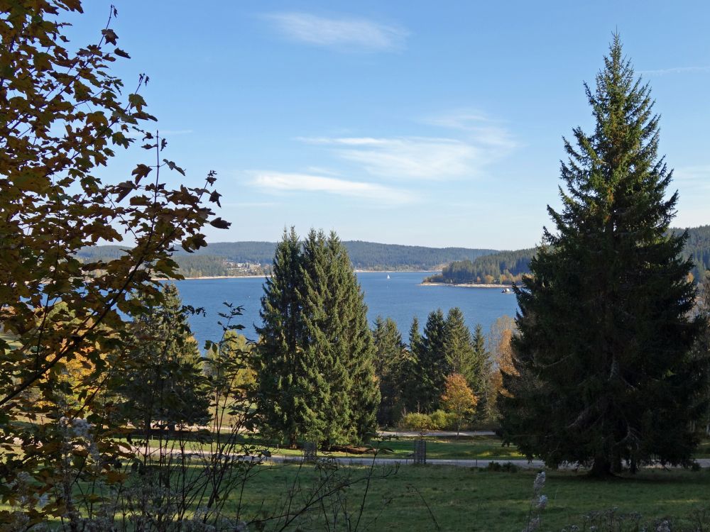 Blick auf den Schluchsee