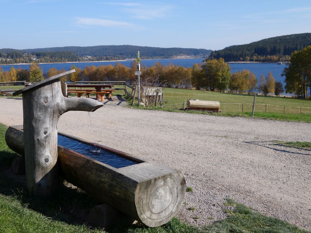 Blick auf den Schluchsee