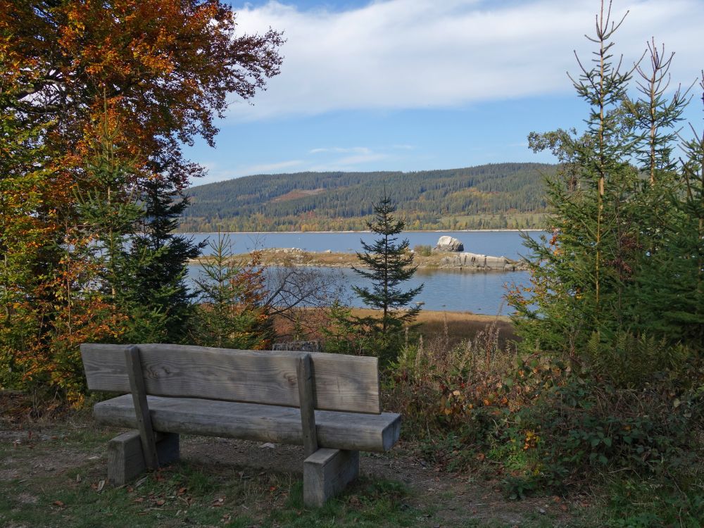 Blick auf den Schluchsee