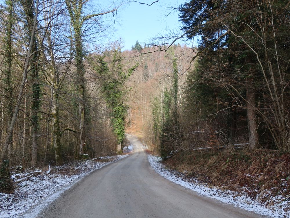 Waldweg