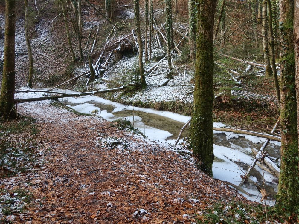 Eis am Büttenmühlebach