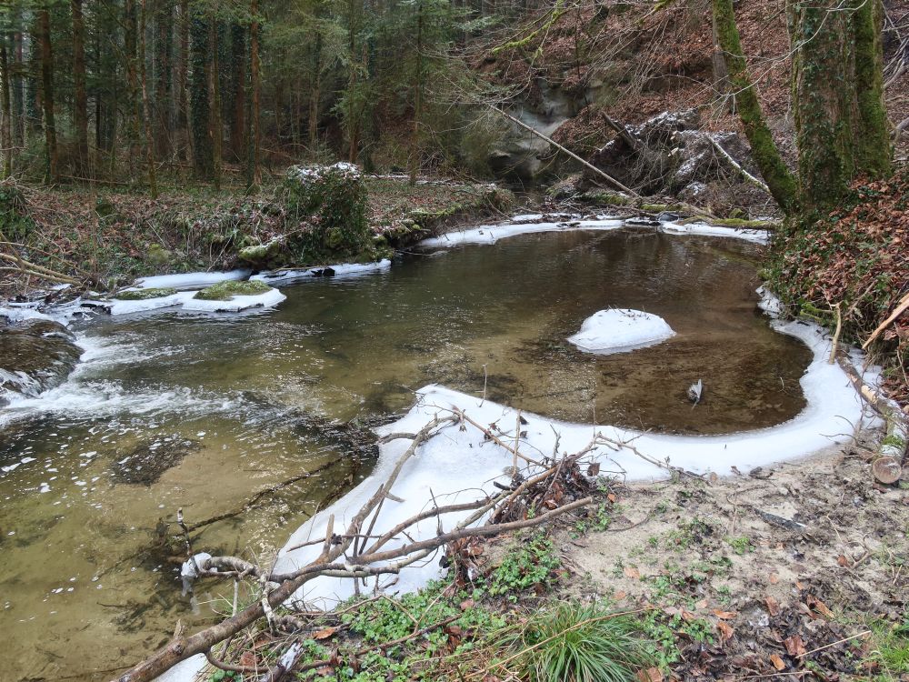 Eis am Feuertobelbach