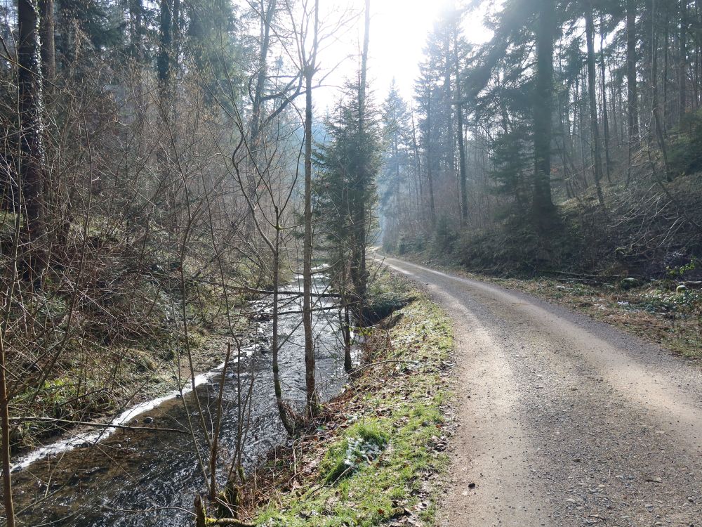 Weg am Feuertobelbach