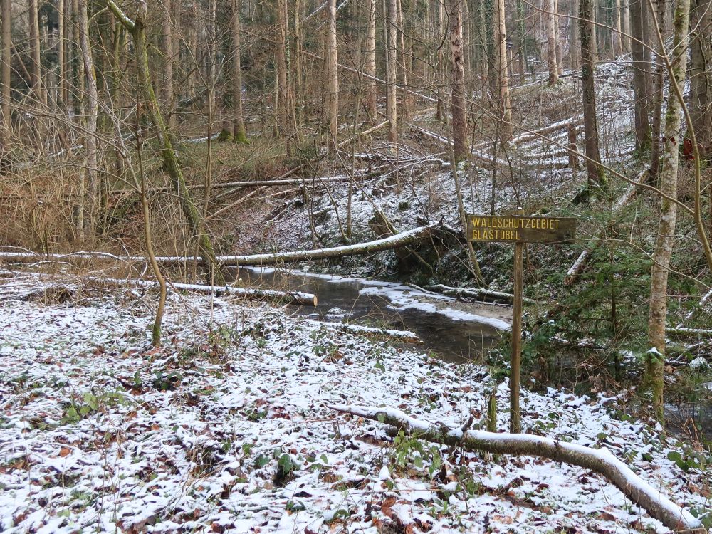 Waldschutzgebiet Glastobel