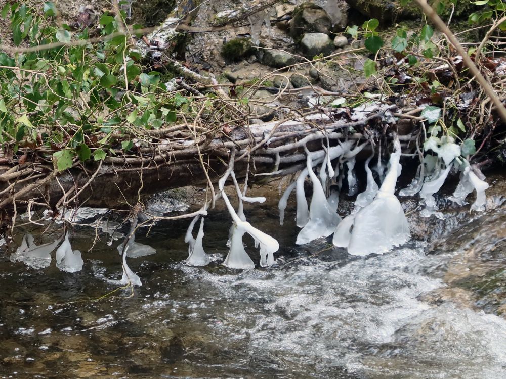 Eis am Glastobelbach