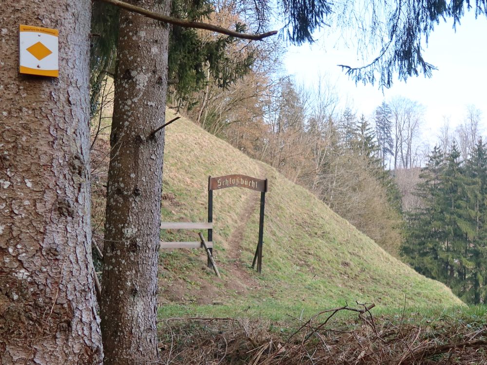 Pfad zur Burg Schmalegg