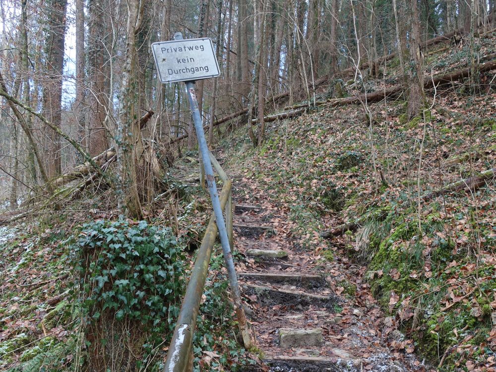 Treppe im Schmalegger Tobel