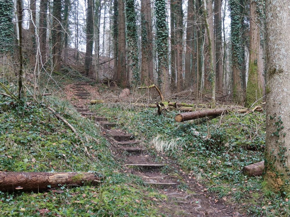 Treppe im Schmalegger Tobel