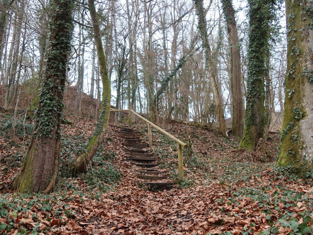 Treppe im Schmalegger Tobel