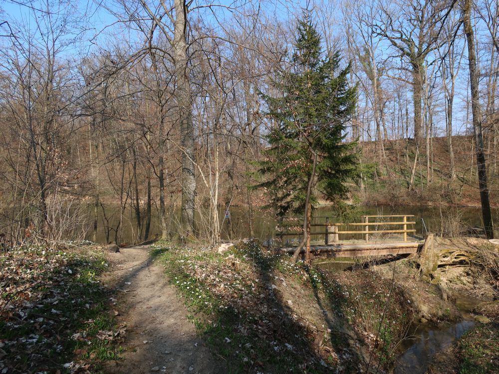 Holzsteg am Lochmüliweier