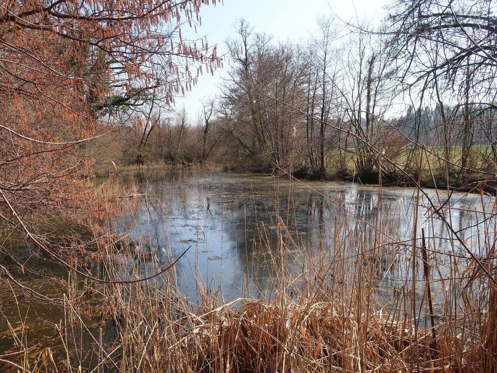 Teich bei der Lochmühle