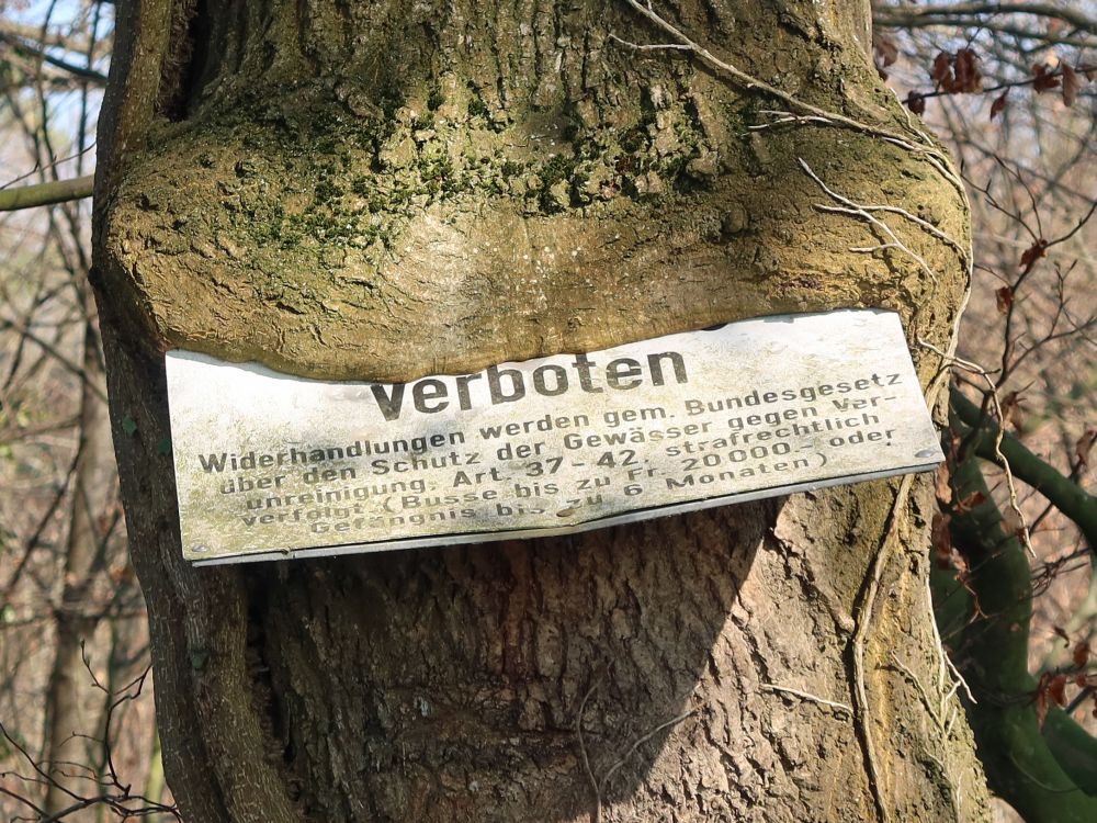 Baum frisst Verbotsschild