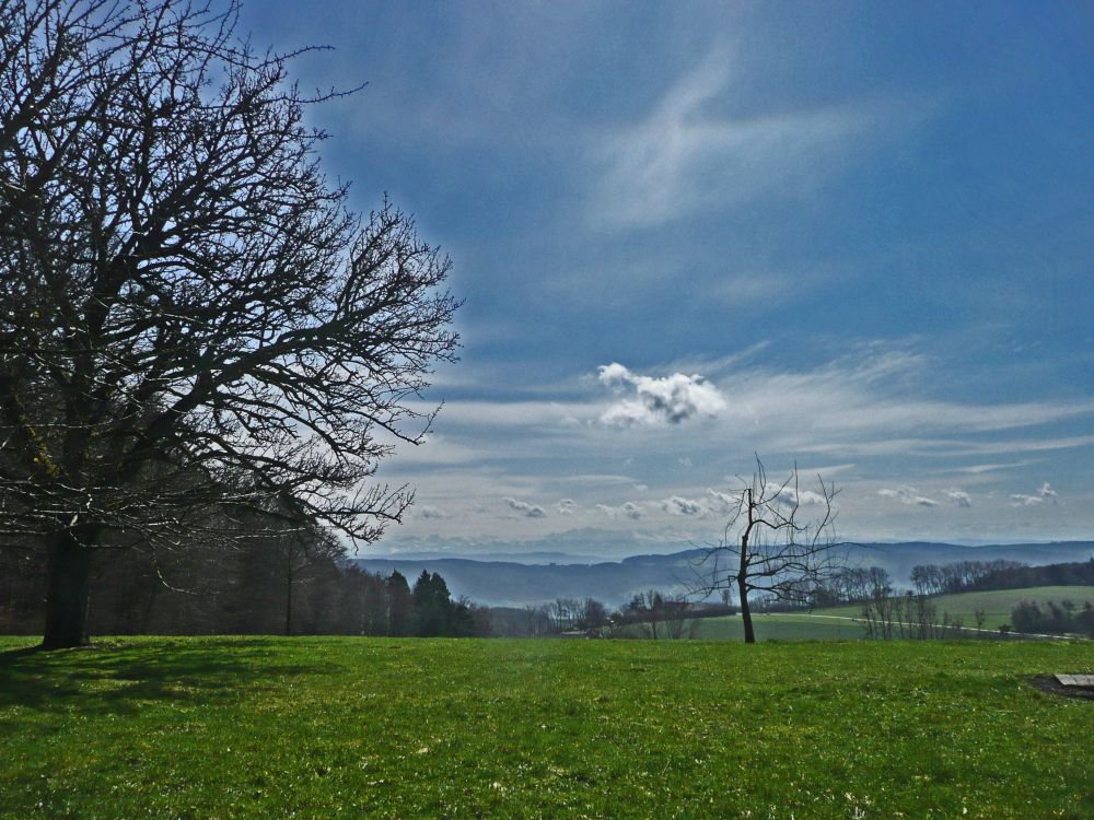 Ausblick Ferdinandslust