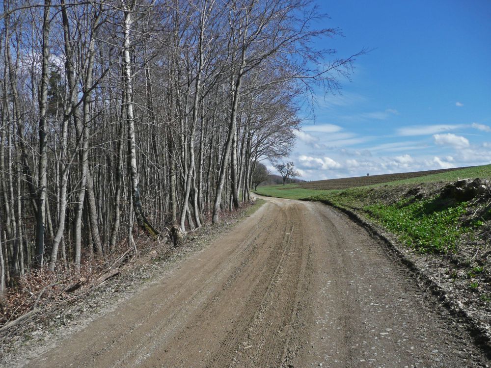 Schotterweg zwischen Schrotzburg und Haselwiese