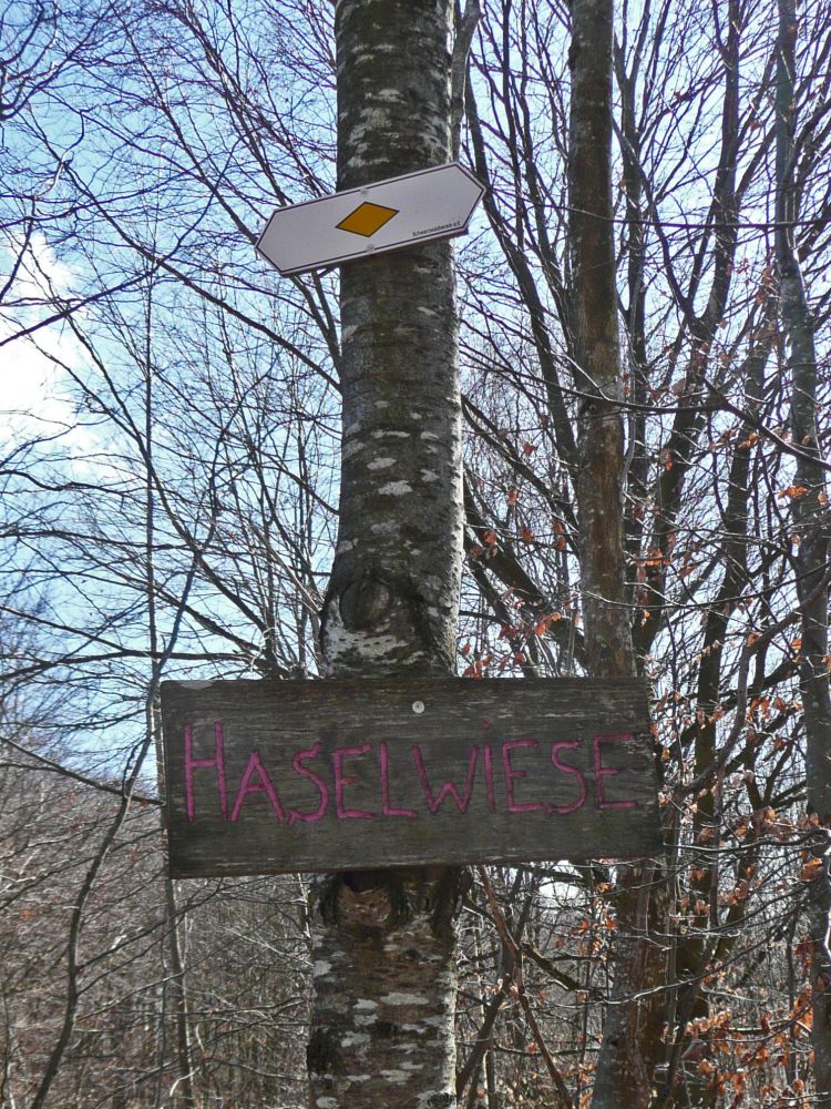 Markierung Haselwiese
