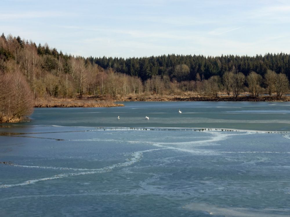 Schwackenreuter See