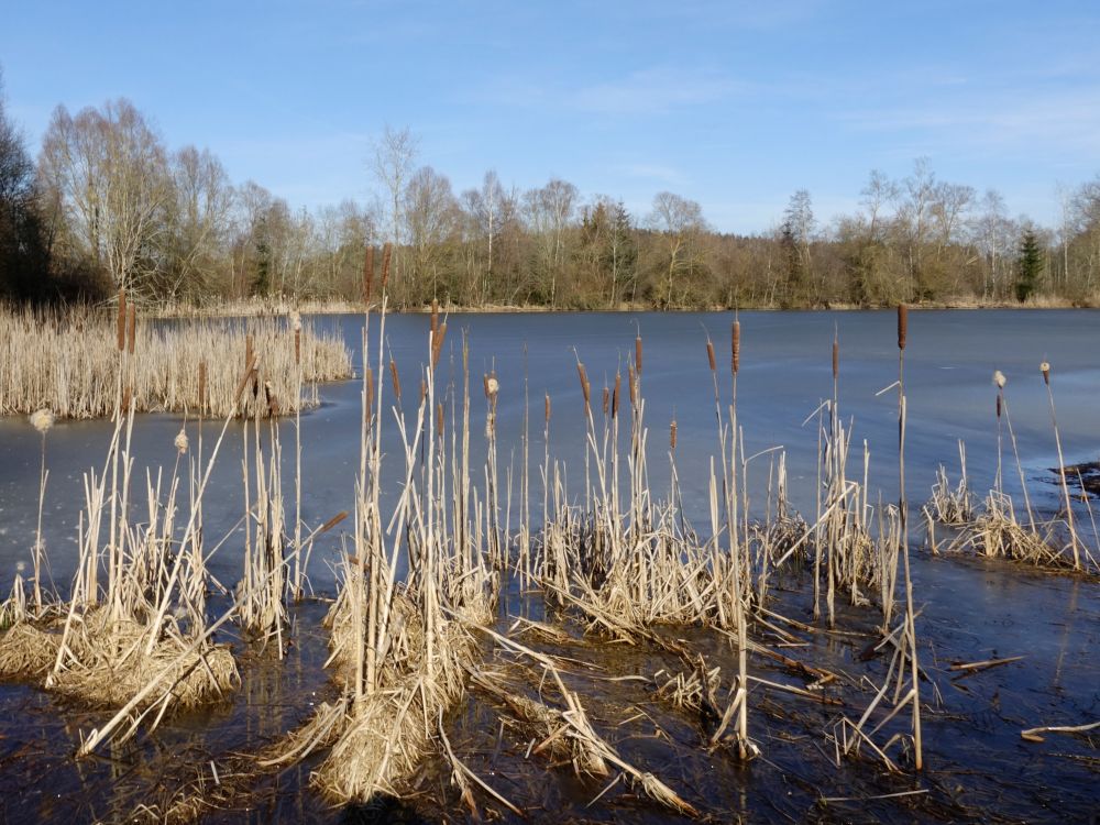 Schwackenreuter See