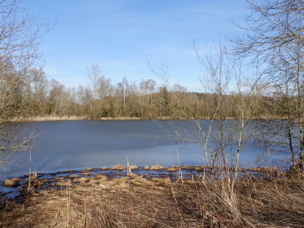 Schwackenreuter See