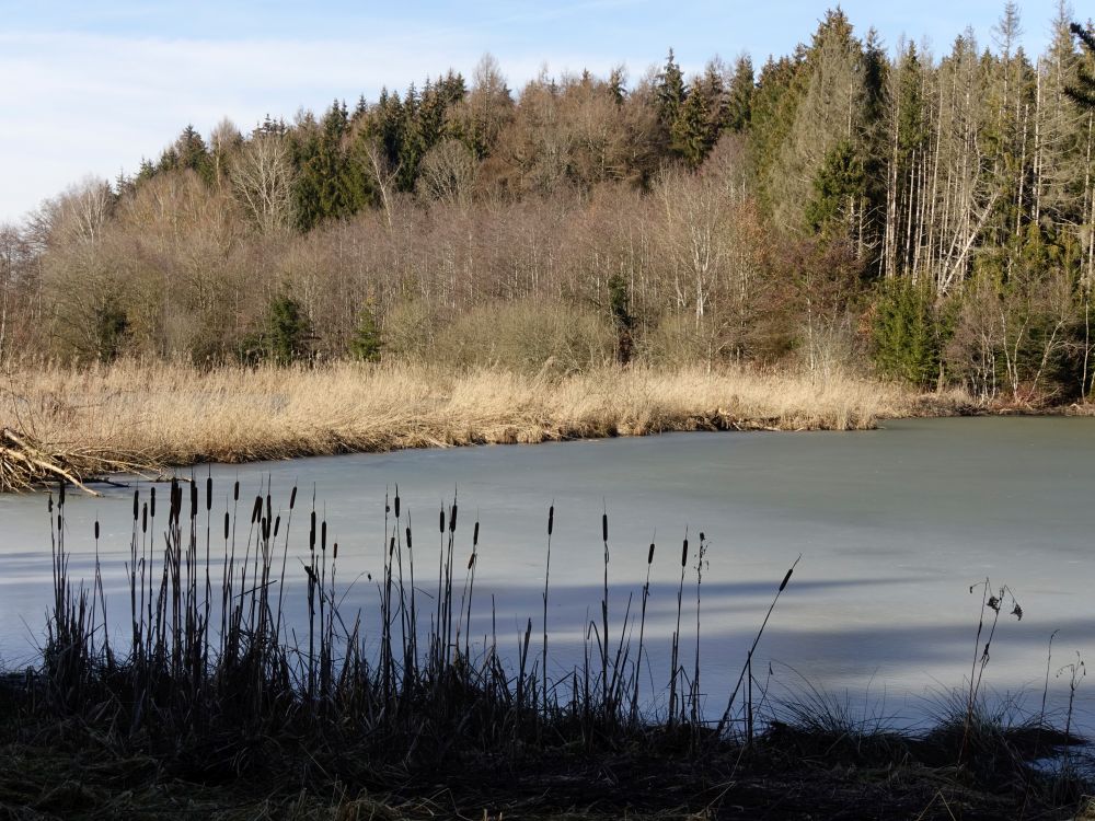 Schwackenreuter See