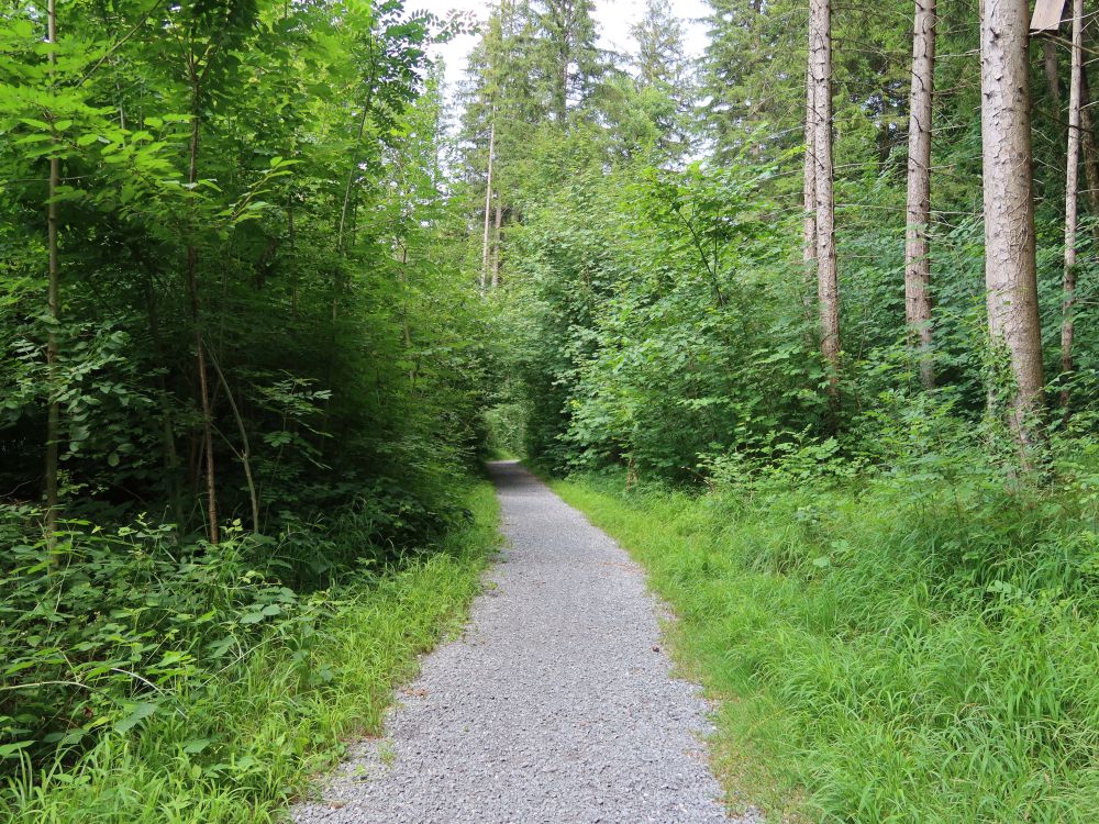 Dunkelgässliweg