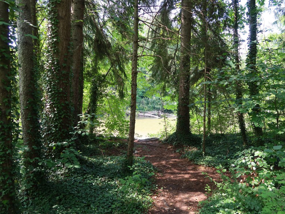 Abstecher zum Thurufer