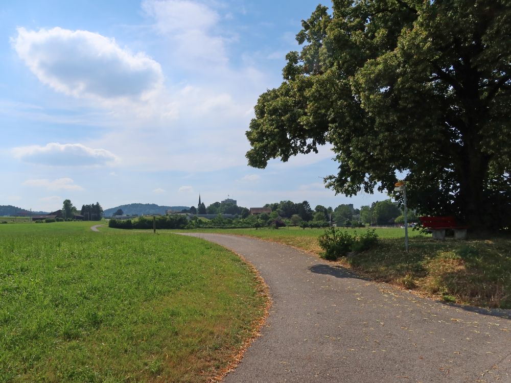 Blick Richtung Rickenbach