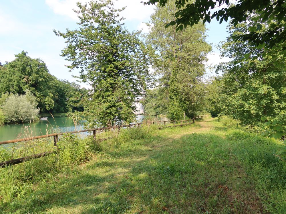 Wiesenpfad am Mühleweiher