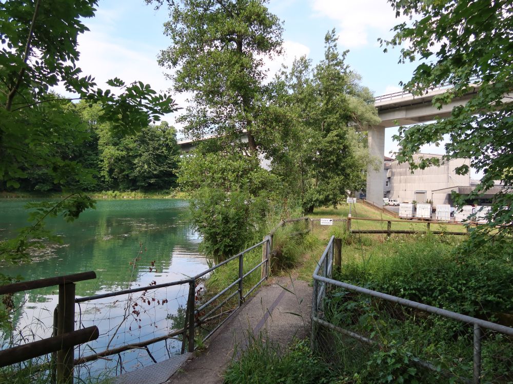 Mühleweiher