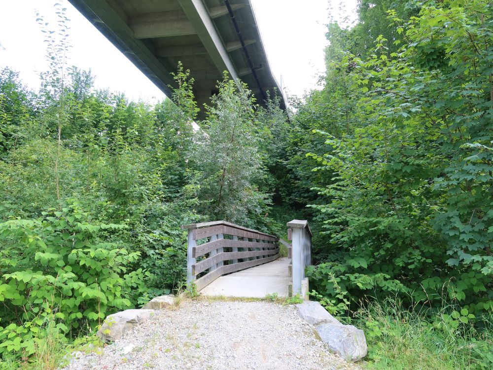 Steg unter Georg-Rennerstrasse