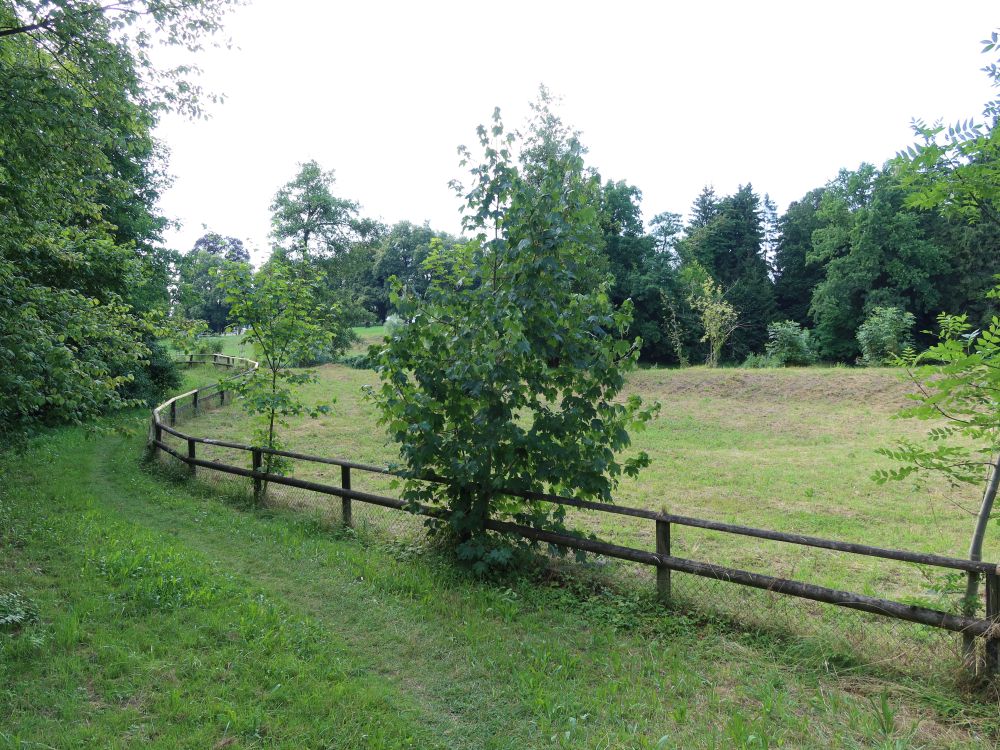 Pfad am Holzzaun