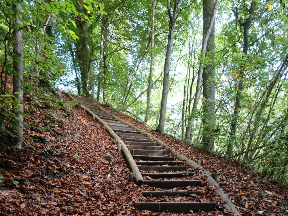 Treppe