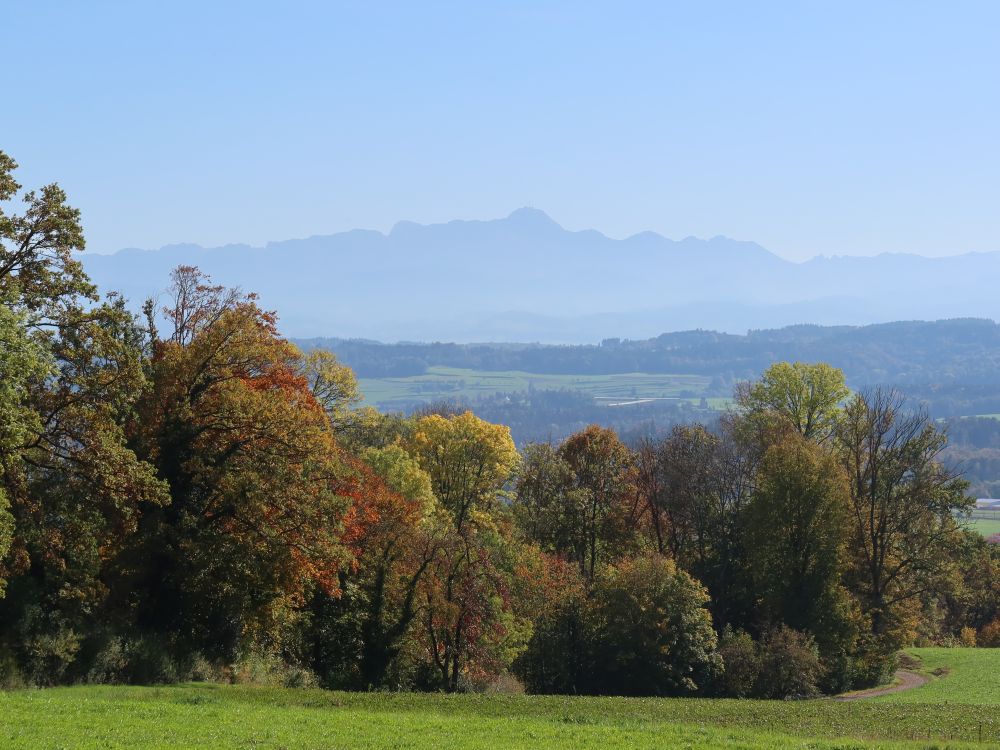 Säntis