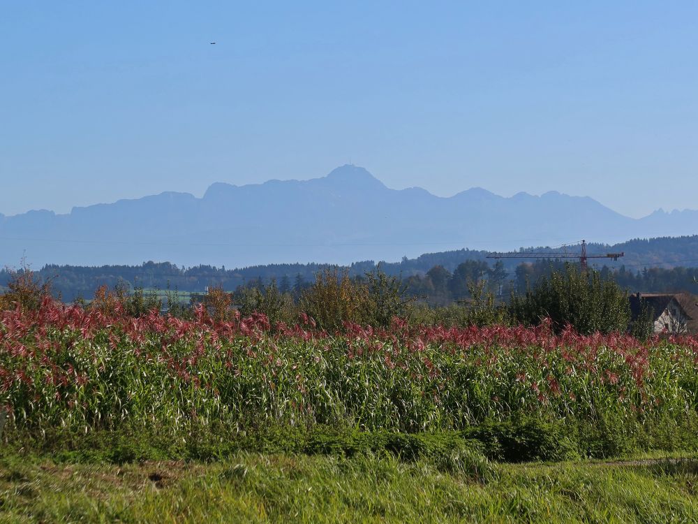 Säntis