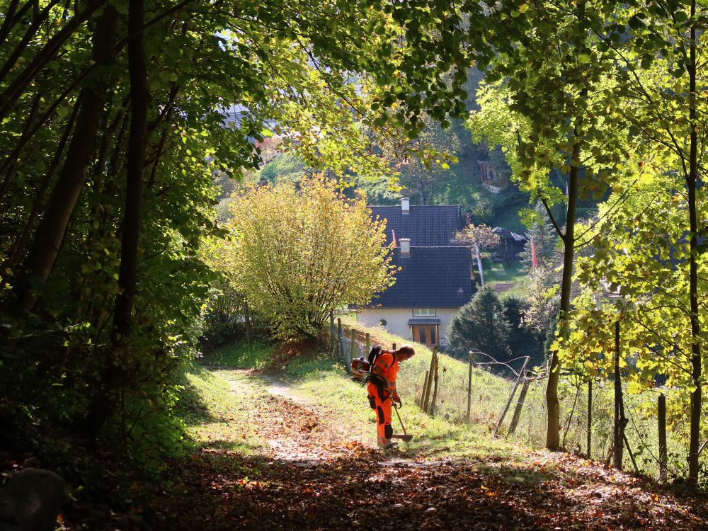 Laubbläser am Letziweg