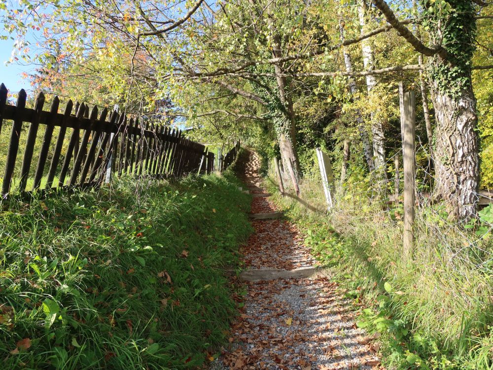 Treppe zum Drüspitz