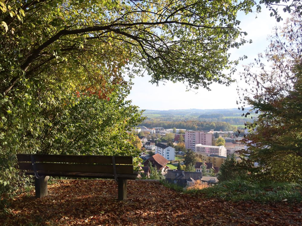 Sitzbank am Drüspitz