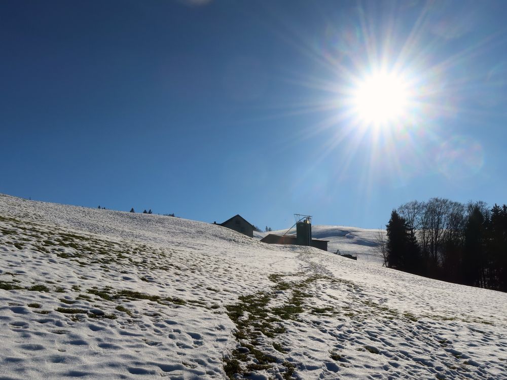 schneebedeckter Wiesenpfad im Gegenlicht