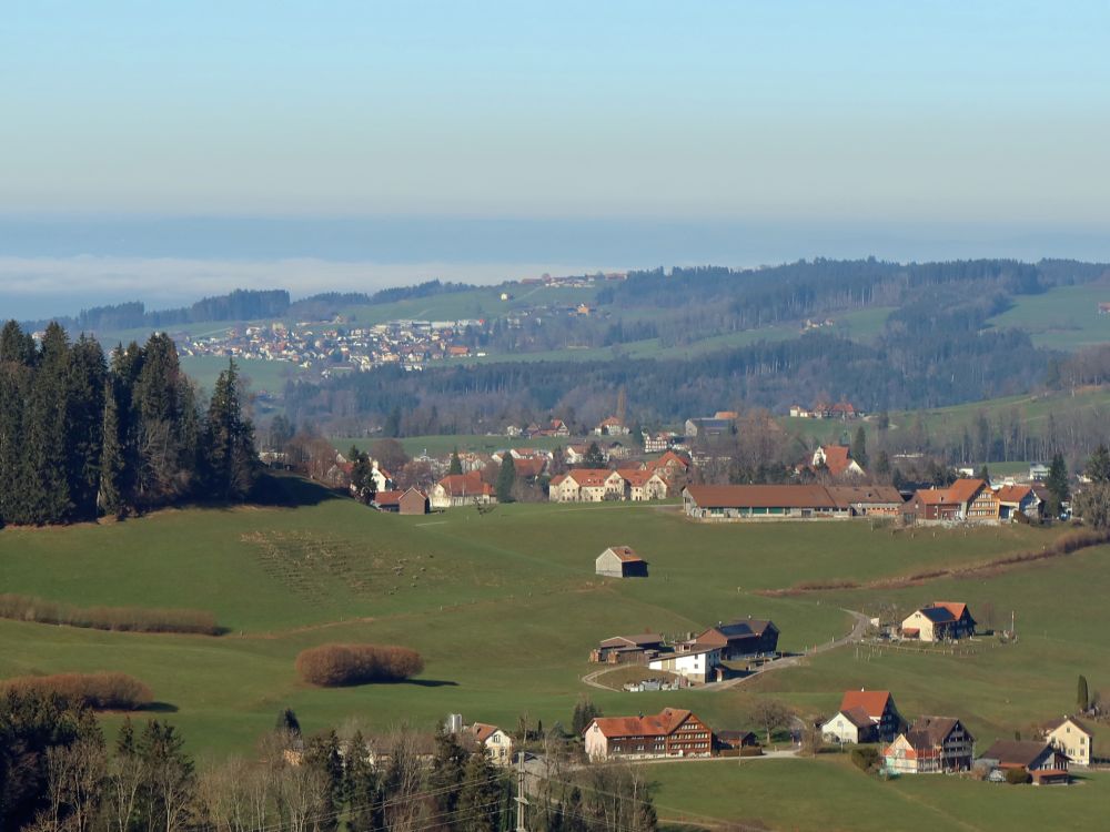 Nebel überm Bodensee