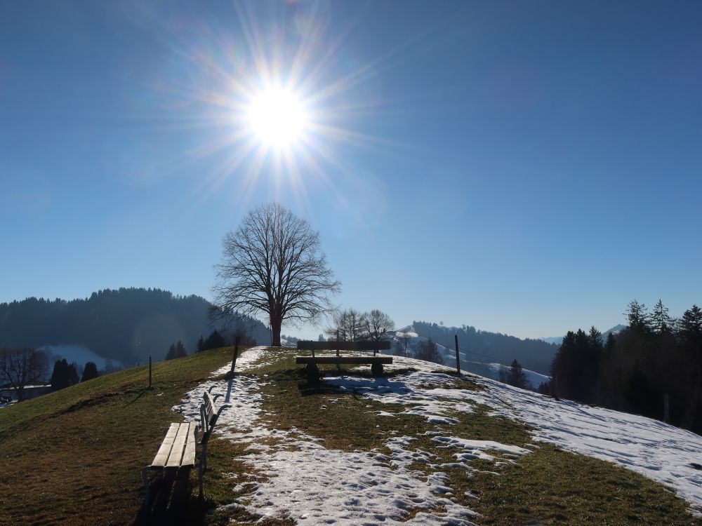 Sitzbänke im Gegenlicht