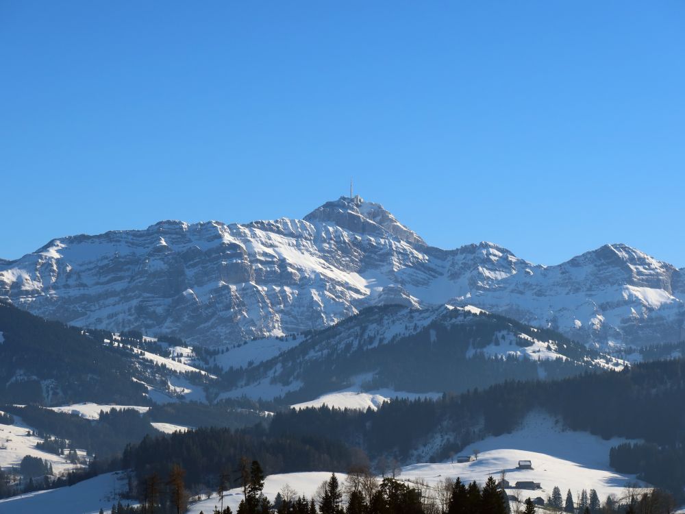 Säntis