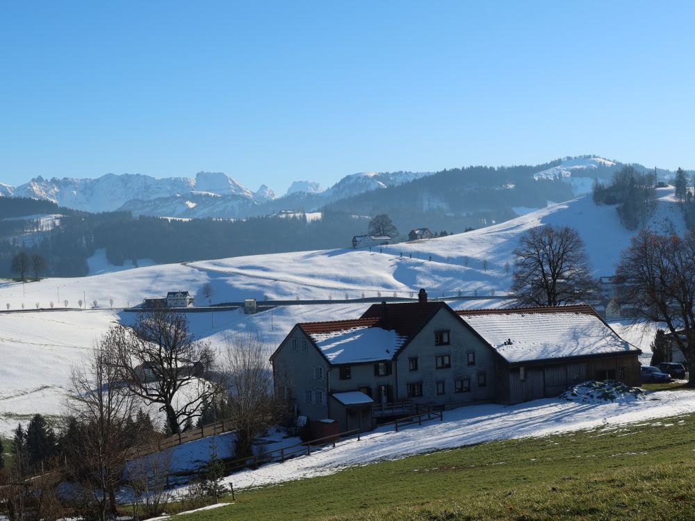 Blick über Högg auf Lütispitz u.a.