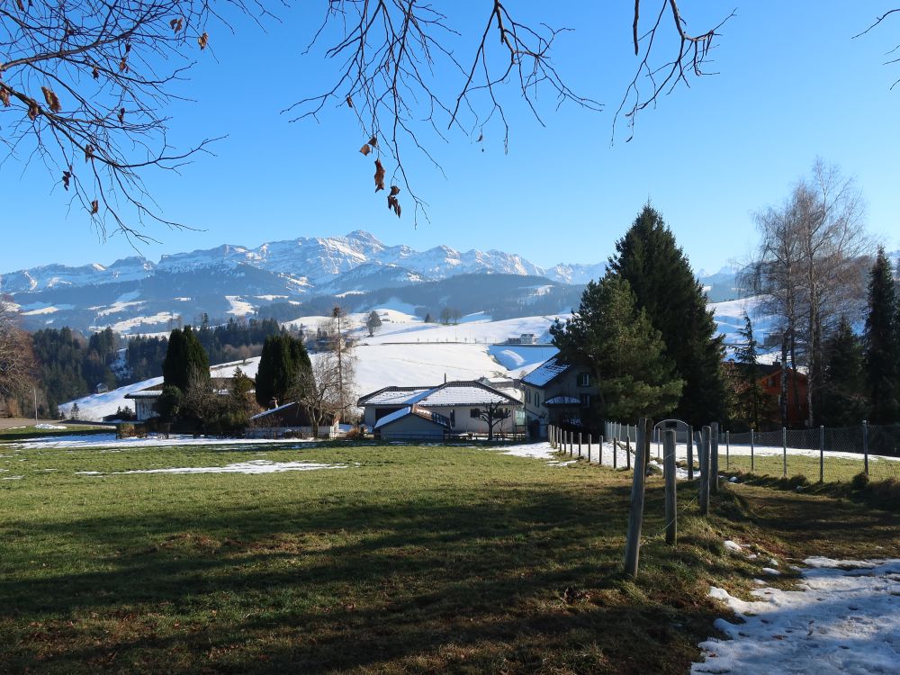 Blick Richtung Säntis