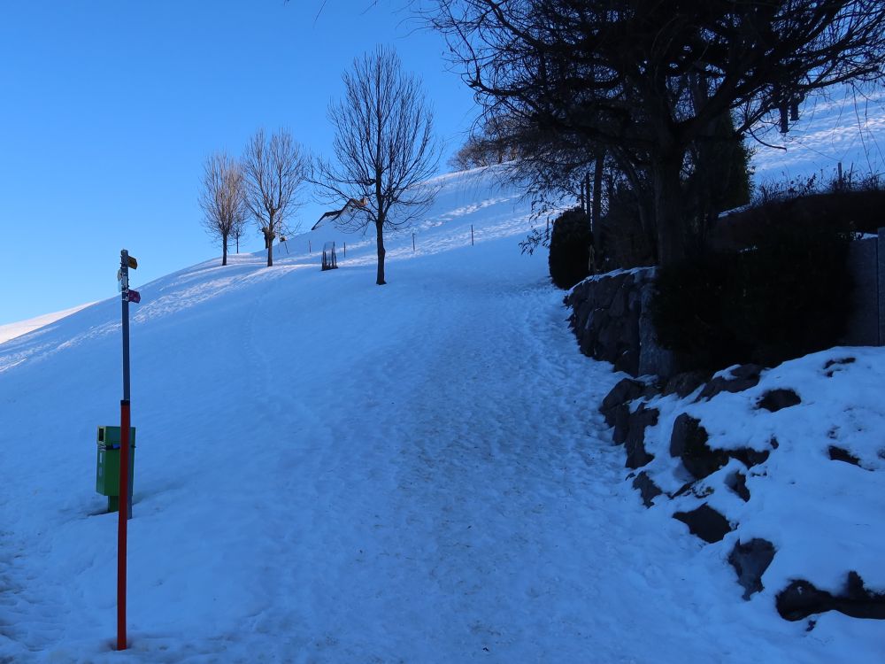 schneebedeckter Pfad bei Halden