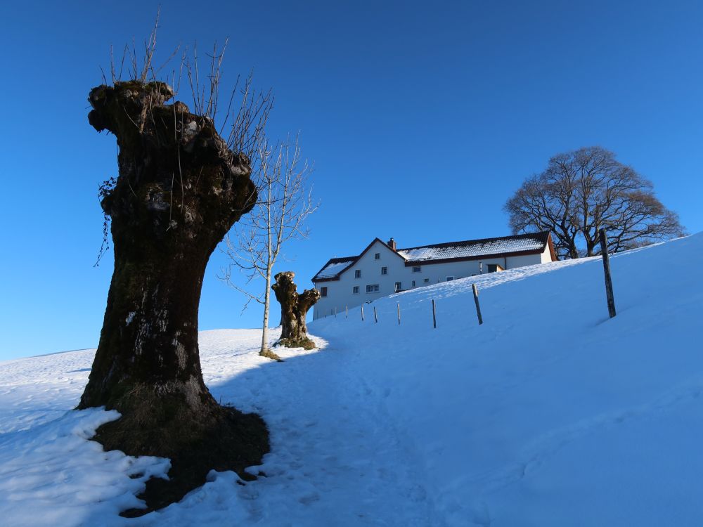 schneebedeckter Pfad bei Halden