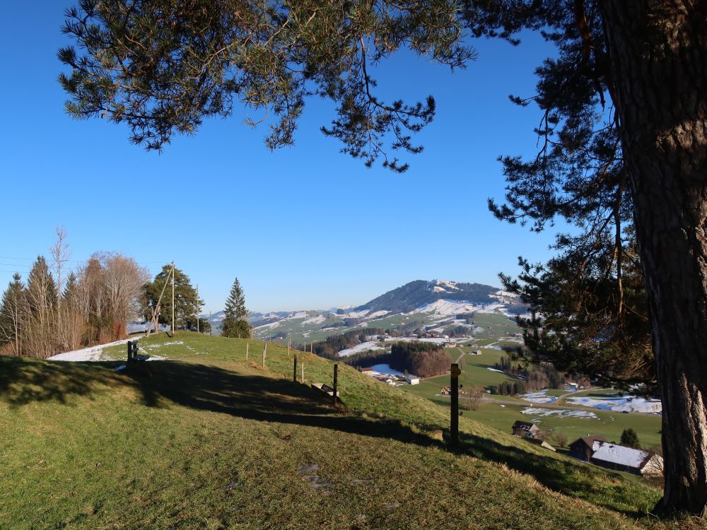 WIesenpfad mit Blick zur Hundwiler Höhe