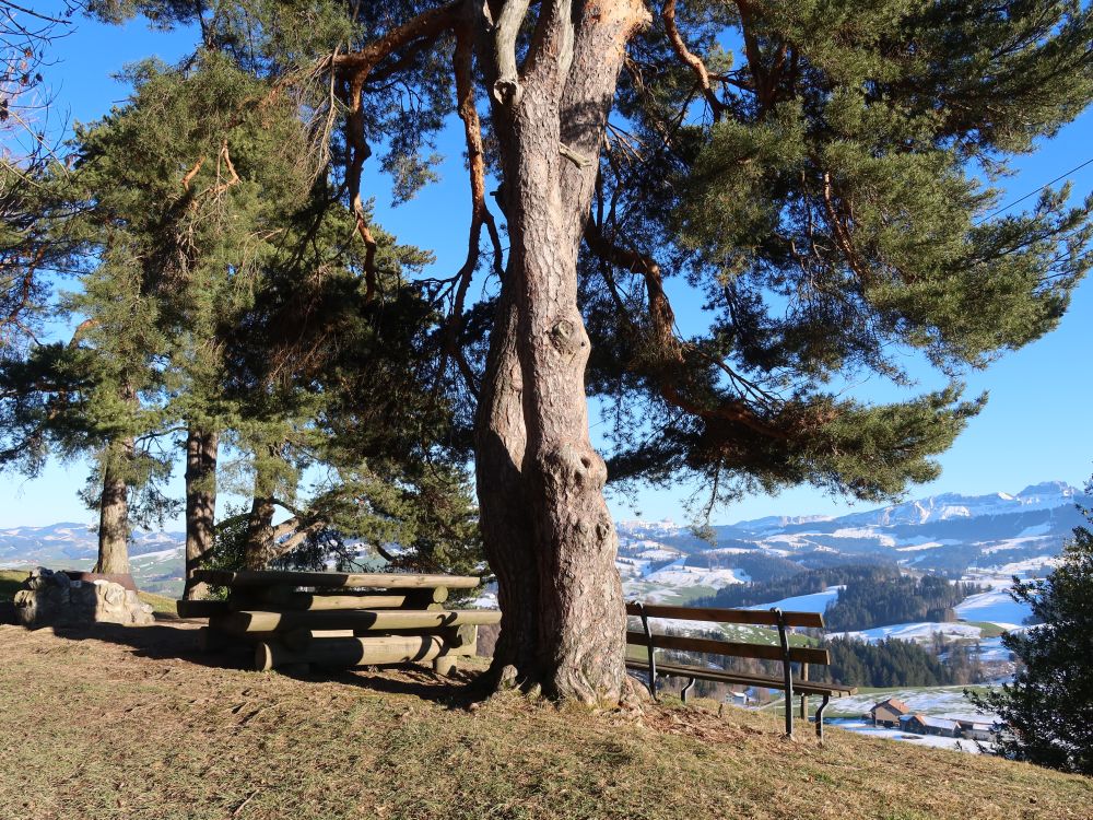 Grillplatz mit Säntisblick