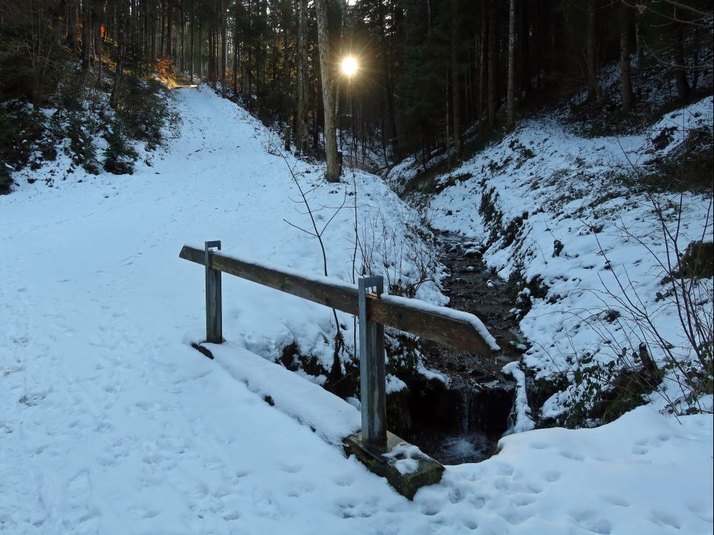 schneebedeckter Waldweg