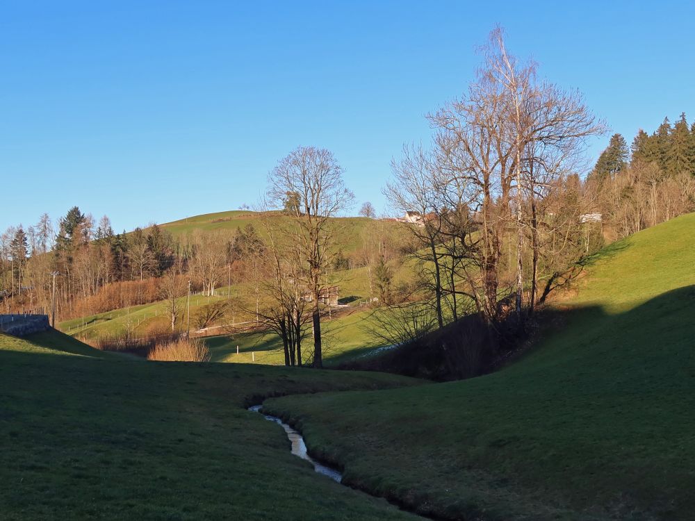 Sonnenhänge über der Glatt